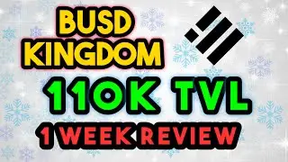 BUSD Kingdom / Earn from 3 to 10% Daily Apr