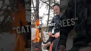 CATCHING SOME TREES FOR TEAS #newfoundland #forager #explorenl