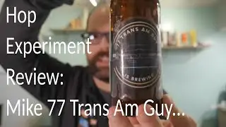 Hop Experiment Review: Mike 77 Trans Am Guy is Brewing's Citra Lupomax Blonde Ale