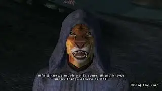 The Elder Scrolls IV: Oblivion&reg; Game of the Year Edition (In 4K HD) Chasing down M'aiq the liar