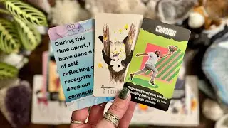 This time apart was divine intervention and has led to self reflection! ⚡️TIMELESS LOVE READING ⚡️