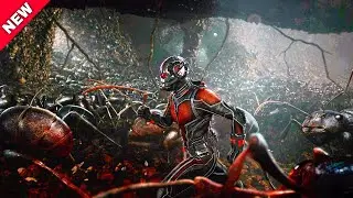 Ant Man Becomes Giant Man And  Team Up With Wasp To Fight Against Ghost