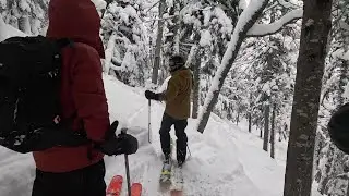 2026 01 23 Massif du sud (partie 10)