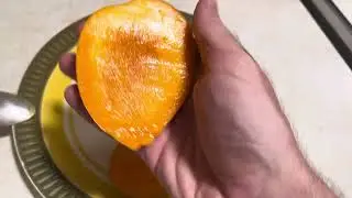 Cac Mango Taste Test