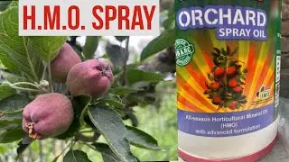H.M.O. Spray 2023