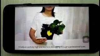 Smart Music Flower Pots