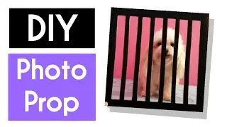 DIY Photo Prop for Pet | Rainbowww DIY