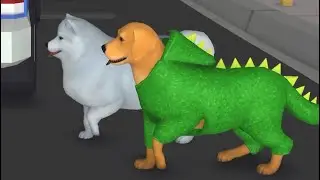 Dog Life Simulator - All Levels Gameplay Android, iOS