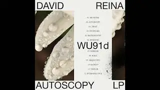 06. David Reina - Designio [WU91d]
