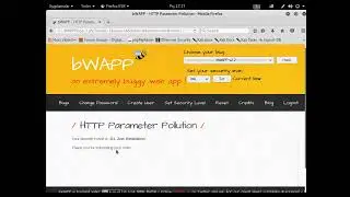 Other Bugs - HTTP Parameter Pollution