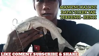 MANCING kali ini dapat strek terus