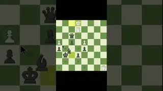 rook badiya #chess #chessshorts #chesstipsandtricks #hikaru #shorts #endgame #chesspuzzle