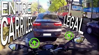🤟🏻 CONEJEAR entre VEHICULOS ES LEGAL‼️ Vlog  #107 @KandoMV