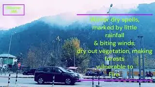 Winter Dry Spells and Forest Fires #kashmir #jammuandkashmirtourism #himalayas