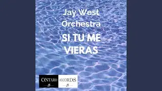 Si Tu Me Vieras (Instrumental)