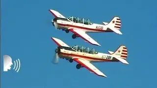 Yak 52 and Texan T-6 Aerobatic Display Teams