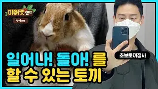 토끼도 일어서, 돌아 할 수 있다고?!(Can a rabbit sit and turn around?!)