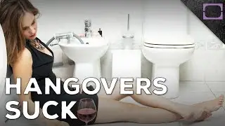 Why Do We Get Hangovers?
