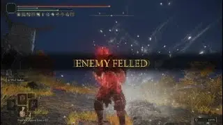 ELDEN RING&trade; Wild strikes