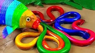 The Incredible Catch Colorful Aquarium Fish In Small Pond, Pencil Fish, Glass Fish, Baby Turtle, Koi