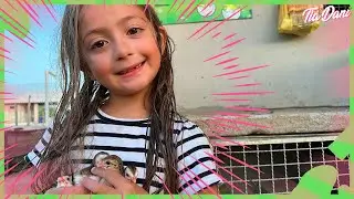 OS BEBÊS GALINHOLINHOS