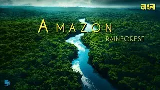 The Amazon Rainforest: Exploring The Wonders Into the Lungs of the Earth 😯