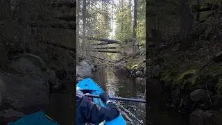 Bluesea ilmat&auml;ytteinen kajakki