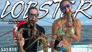Gear Up For Lobster Season & More! | Florida Fishing Reports July 10-16