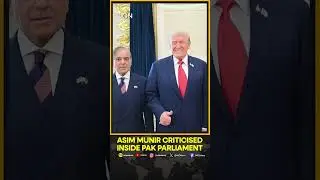 Pakistani Lawmaker Criticises 'Salesman' Munir's Rare Earth Display for Trump, Calls It a 'Joke'