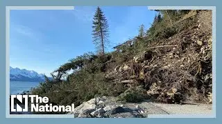 Shocking footage shows trees falling on the road during a landslide in Alaska