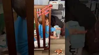 Oh, you dropped your little giraffe little boy 101825 #baby #love #shorts  #fyp #youtubeshorts