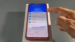 Huawei P30 Pro 6/128 Kirin 980 Antutu Benchmark Test