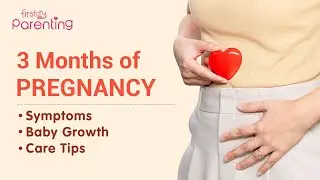 3 Months Pregnant &ndash; Symptoms, Baby Development, Do's and Don'ts