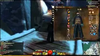Guild Wars 2 Preview - On Linux