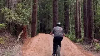 Incredible Jump Trail in Arcata, CA || Jump Trail and Lorax
