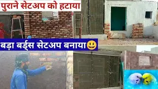 HOW TO MAKE EXOTIC BIRD BIG SETUP || अपने बर्ड्स के लिए बड़ा सेटअप कैसे बना रहा हूं। birds colony.