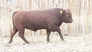 8448F