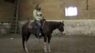 Sheikh Kabir Cow Horse Clinic - Highview Ranch, Le Sueur, MN (Strutin Smoke)