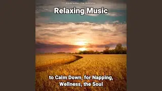 Splendid Ambient Sounds