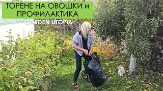 Борба със ЗЛАТКА, ТОРЕНЕ на ОВОШКИ: #Ден 55 от 90 ДНИ НА СЕЛО