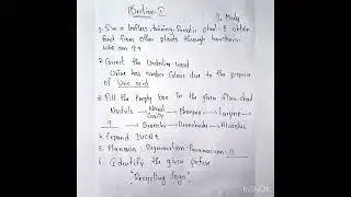 10 CLASS BIOLOGY PRE FINAL EXAM PAPER (💯sure) .