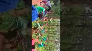 Kudagu Tribe Dance | Koorg, Karnataka #trending