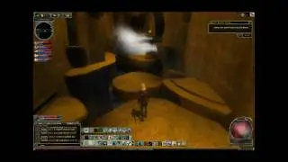 DDO Custom Arcane Archer - Draah