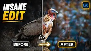 Complete Bird Photography Editing Workflow in Adobe Lightroom Classic EP2 | Himalayan Griffon