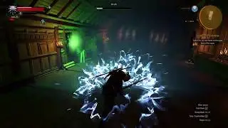 The Witcher 3 [Wraith from the Painting] - Boss Fight, Death March, No Quen, Aard Sweep