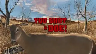 Big Buck Hunter Arcade (Xbox One) | All Adventures