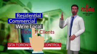 GTA Toronto Pest Control 416-907-8509