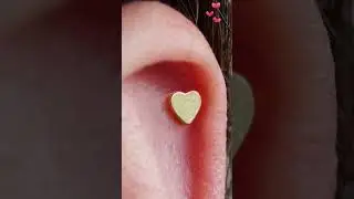Simple Gold Piercing Stud Collection: Moon, Heart, Star | Erica Jewels | Piercing Jewelry