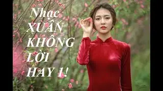 Liên khúc nhạc xuân không lời HAY 1!