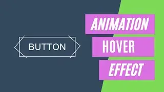 CSS Button Hover Animation Effect in Bangla